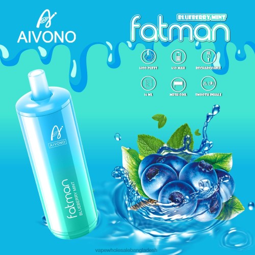 Vape Wholesale Supplier - Aivono FATMAN 6800 ব্লুবেরি পুদিনা 40X0R22