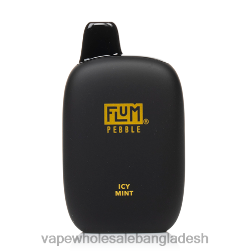 E Cigarette Price - FLUM PEBBLES 6000 puffs বরফ পুদিনা 6666B30