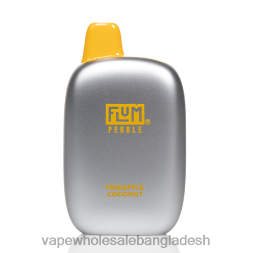 E Cigarette Price - FLUM PEBBLES 6000 puffs আনারস নারকেল 6666B40