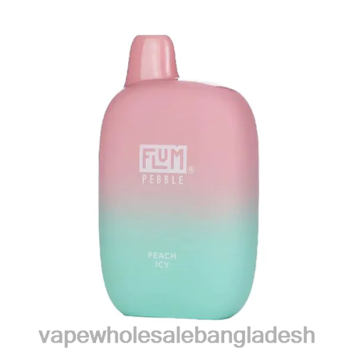 Vape Bangladesh - FLUM PEBBLES 6000 puffs পীচ বরফ 6666B38