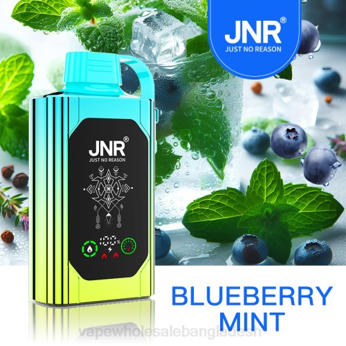 Vape Bangladesh - ব্লুবেরি পুদিনা F6D8618 JNR SHISHA BOX