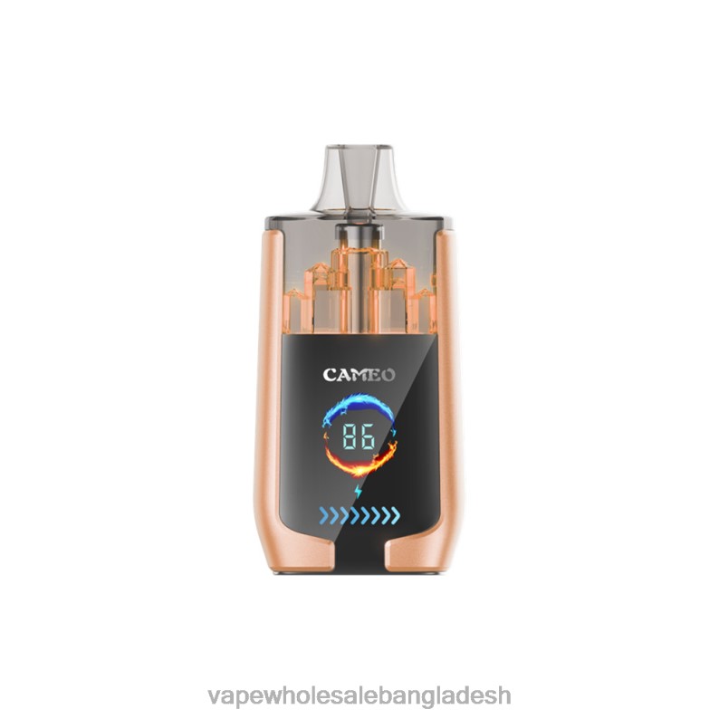 Vape Wholesale Supplier - LAVIE CAMEO 30000 puffs 64RHX22 চেরি