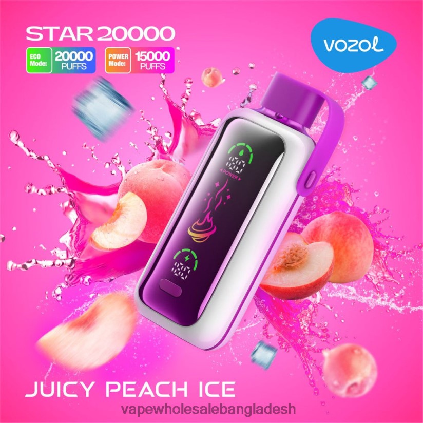 E Cigarette Price - VOZOL STAR 20000 06226V10 সরস পীচ বরফ